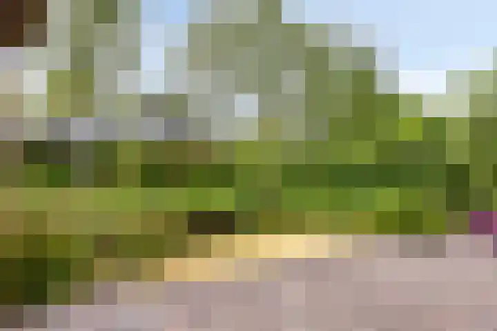 Dokter Mansholtweg 6 Tolbert thumbnail 6