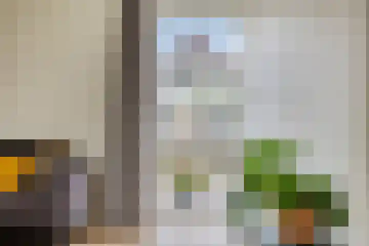 Dokter Mansholtweg 6 Tolbert thumbnail 7