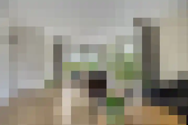 Dokter Mansholtweg 6 Tolbert thumbnail 8
