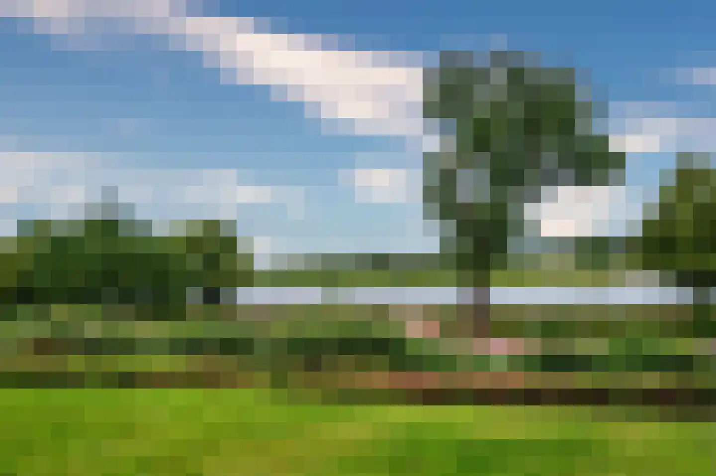 Dokter Mathijssenstraat 22 Venlo thumbnail 43