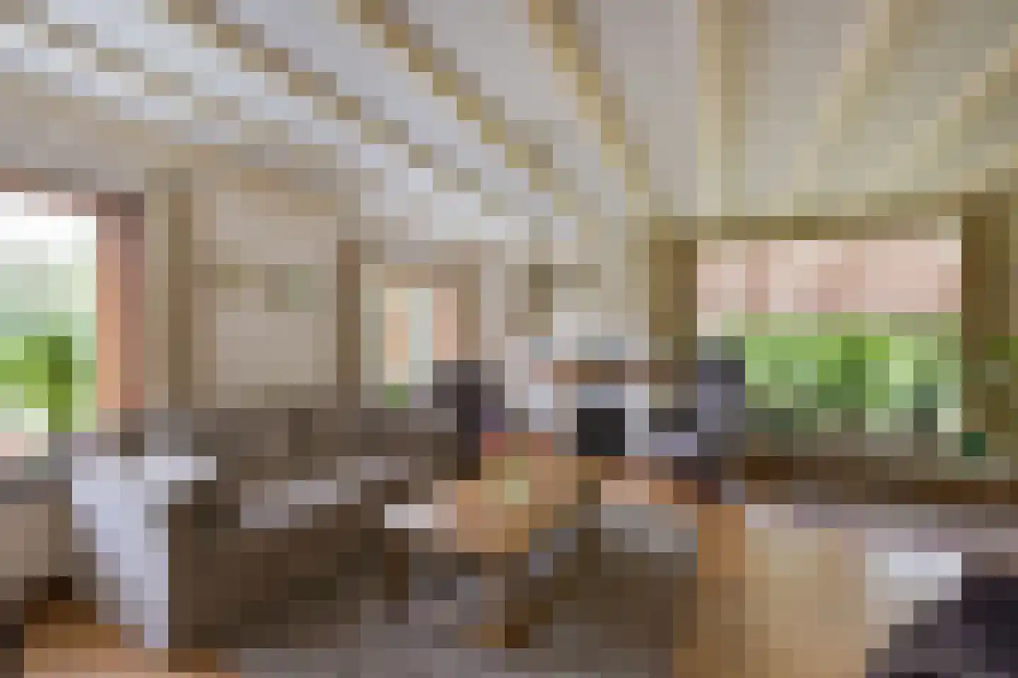 Dokter Mees ten Oeverlaan 13 Wilnis thumbnail 10