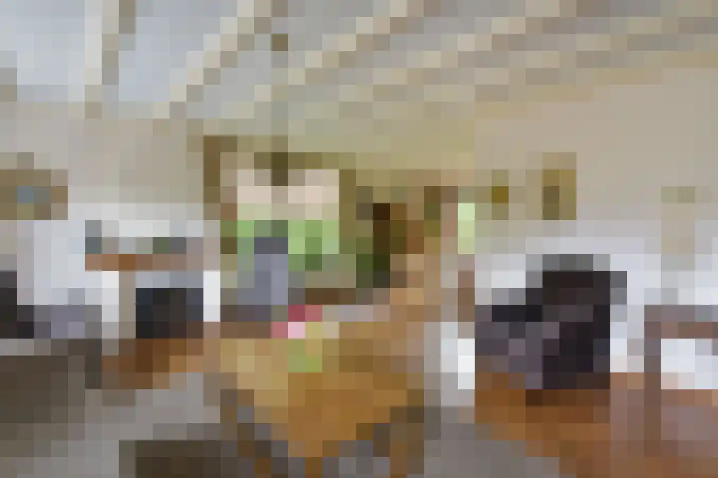 Dokter Mees ten Oeverlaan 13 Wilnis thumbnail 11