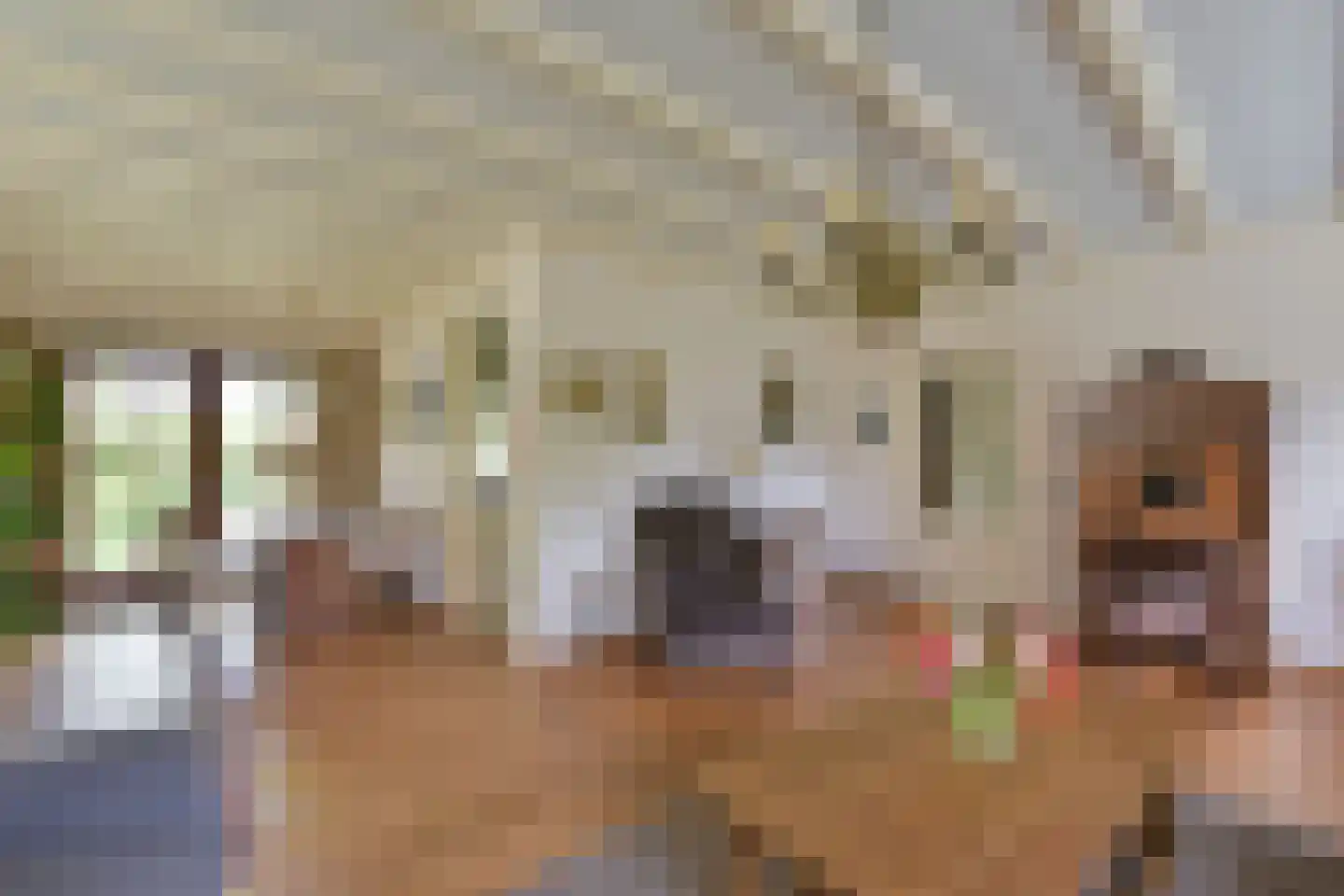 Dokter Mees ten Oeverlaan 13 Wilnis thumbnail 12