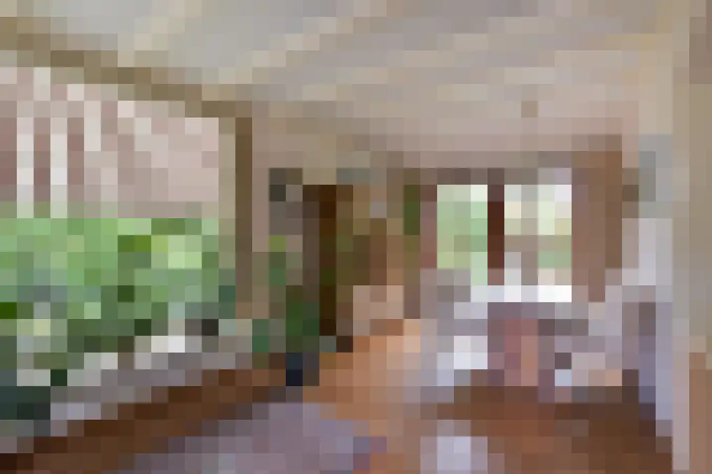 Dokter Mees ten Oeverlaan 13 Wilnis thumbnail 13