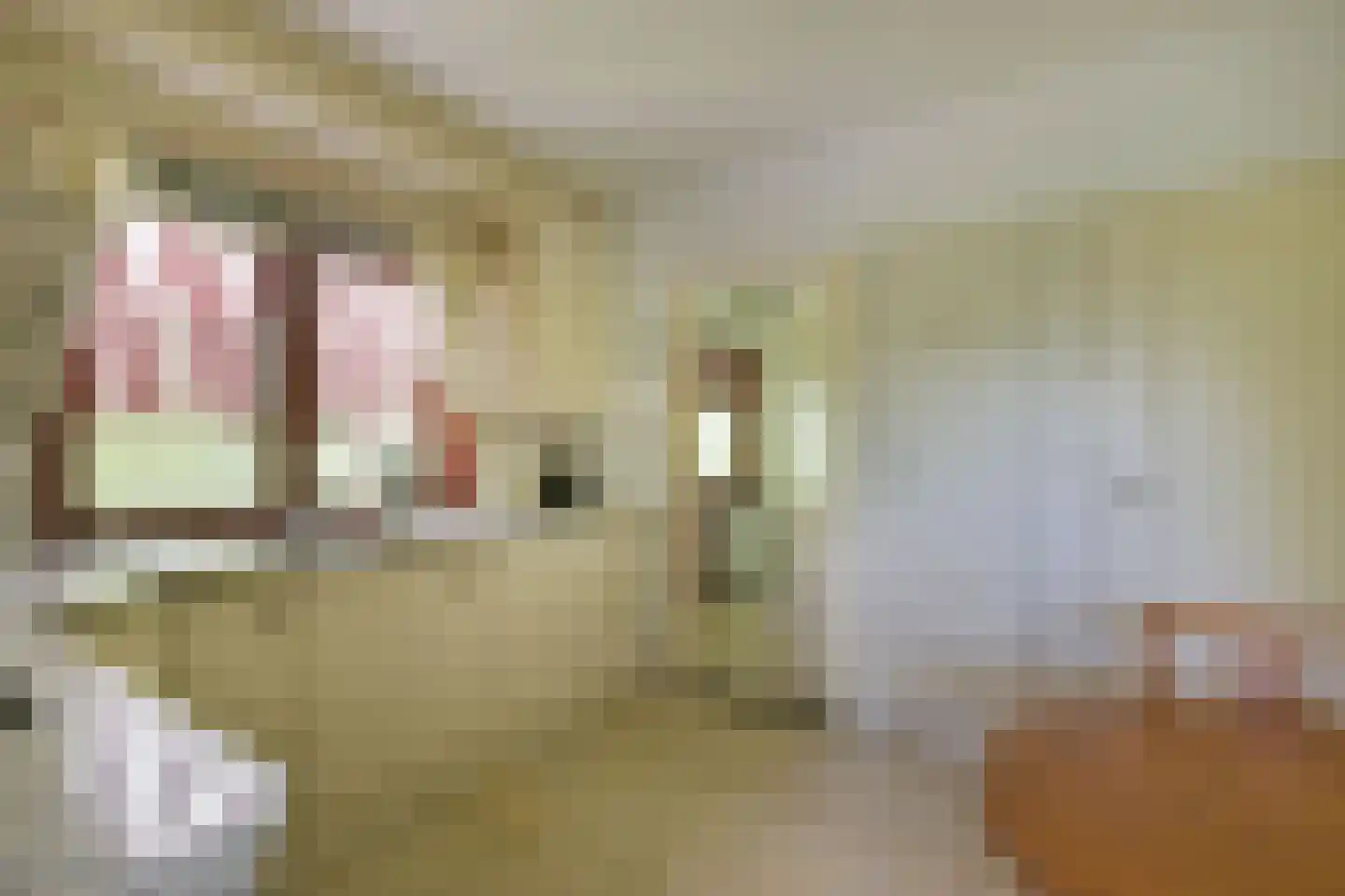 Dokter Mees ten Oeverlaan 13 Wilnis thumbnail 15
