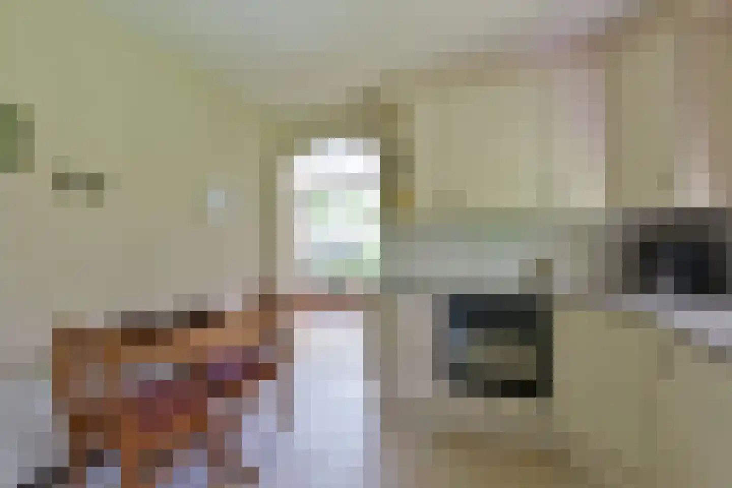Dokter Mees ten Oeverlaan 13 Wilnis thumbnail 16