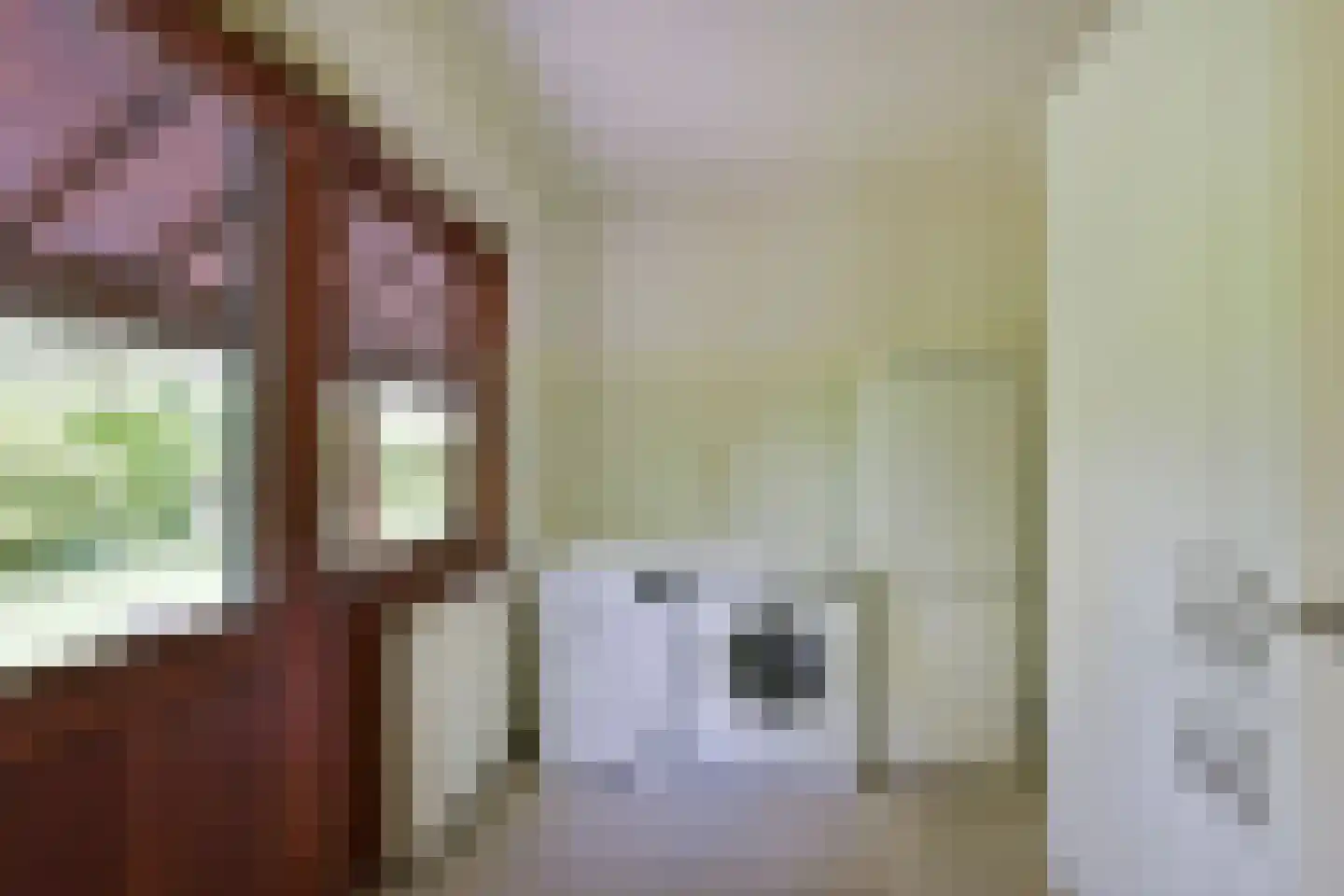 Dokter Mees ten Oeverlaan 13 Wilnis thumbnail 17
