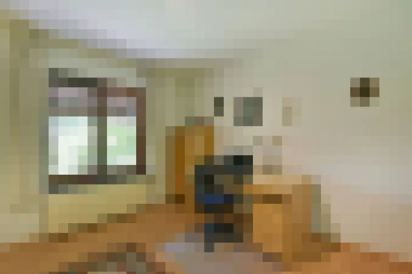 Dokter Mees ten Oeverlaan 13 Wilnis thumbnail 18