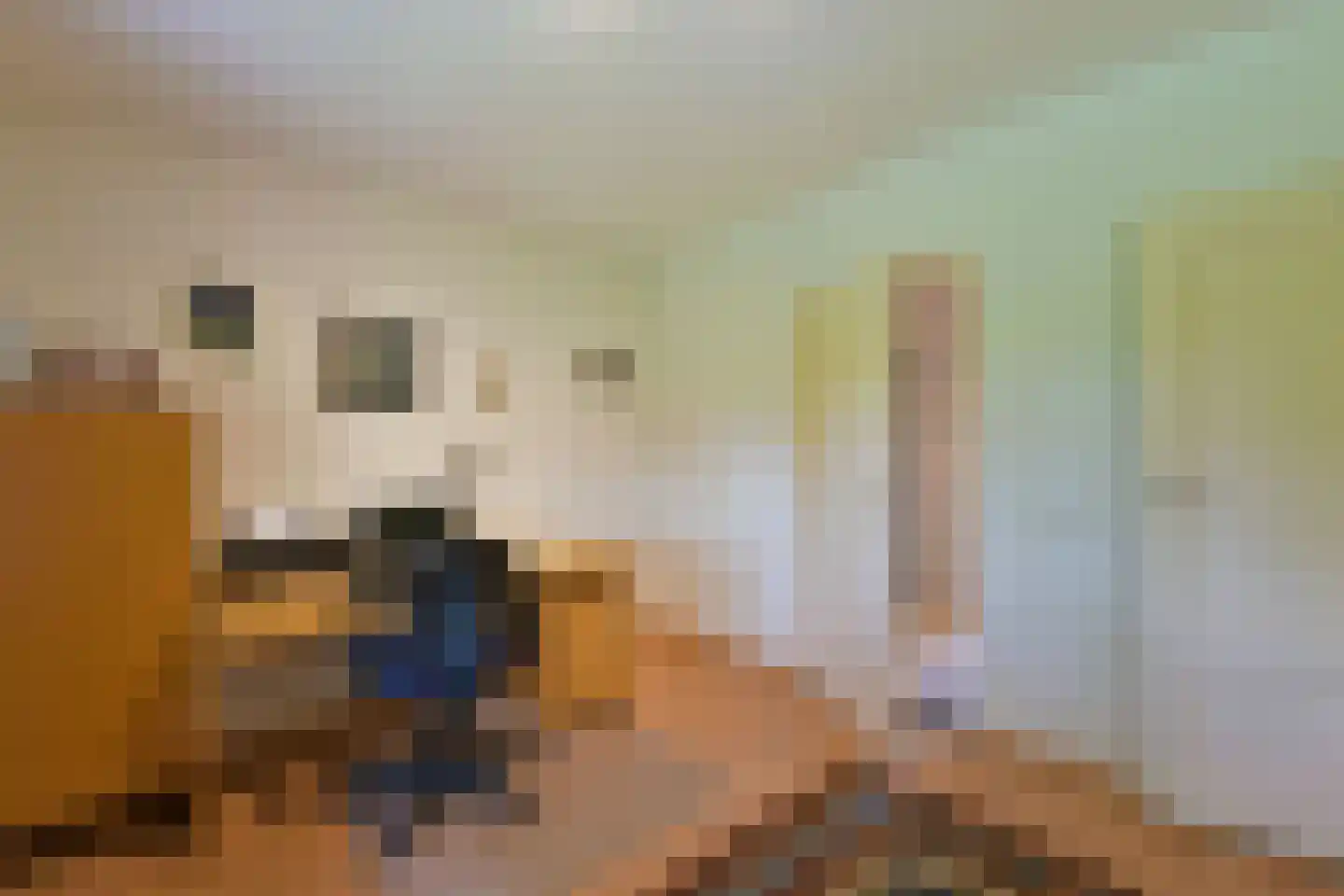 Dokter Mees ten Oeverlaan 13 Wilnis thumbnail 19