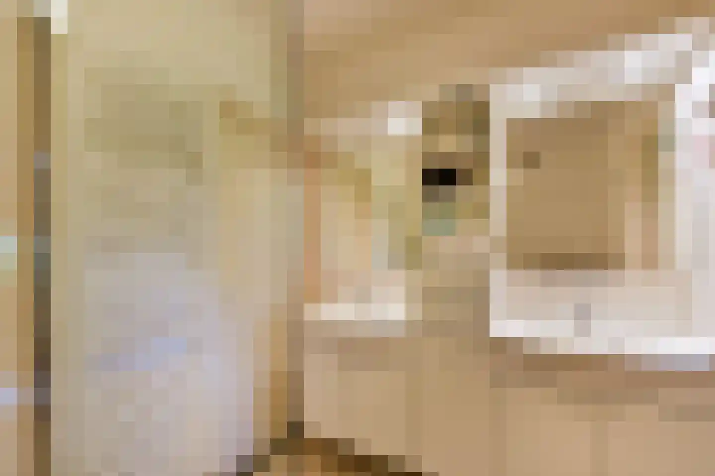Dokter Mees ten Oeverlaan 13 Wilnis thumbnail 21