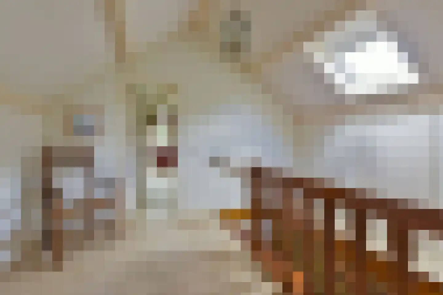 Dokter Mees ten Oeverlaan 13 Wilnis thumbnail 23
