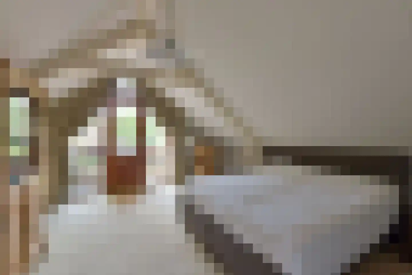 Dokter Mees ten Oeverlaan 13 Wilnis thumbnail 24