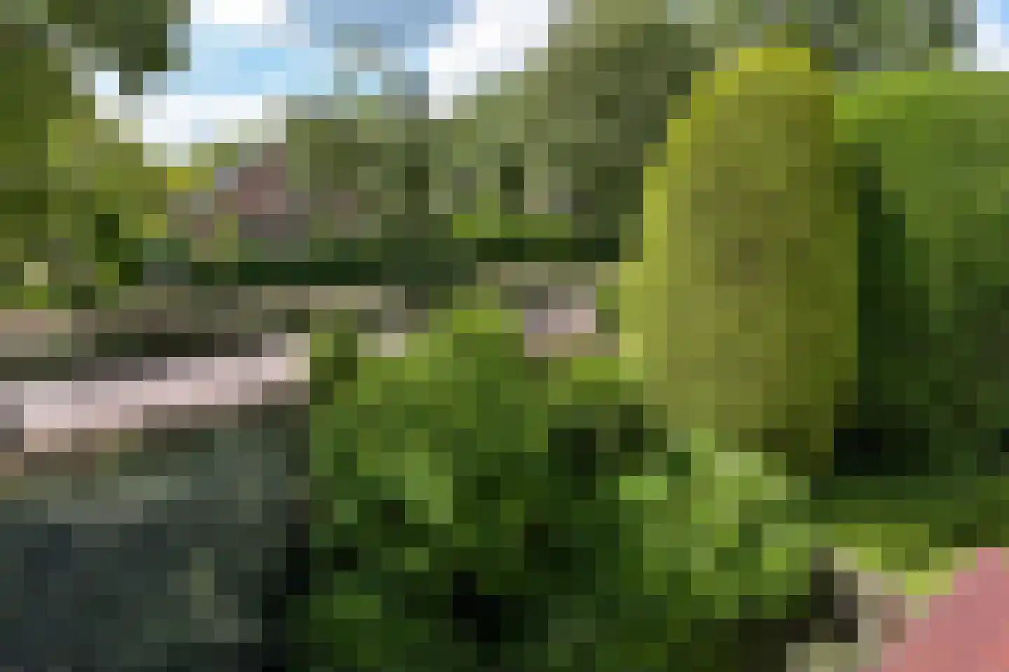 Dokter Mees ten Oeverlaan 13 Wilnis thumbnail 26