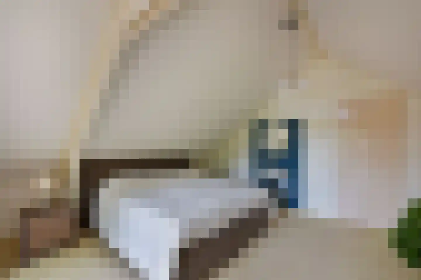 Dokter Mees ten Oeverlaan 13 Wilnis thumbnail 27