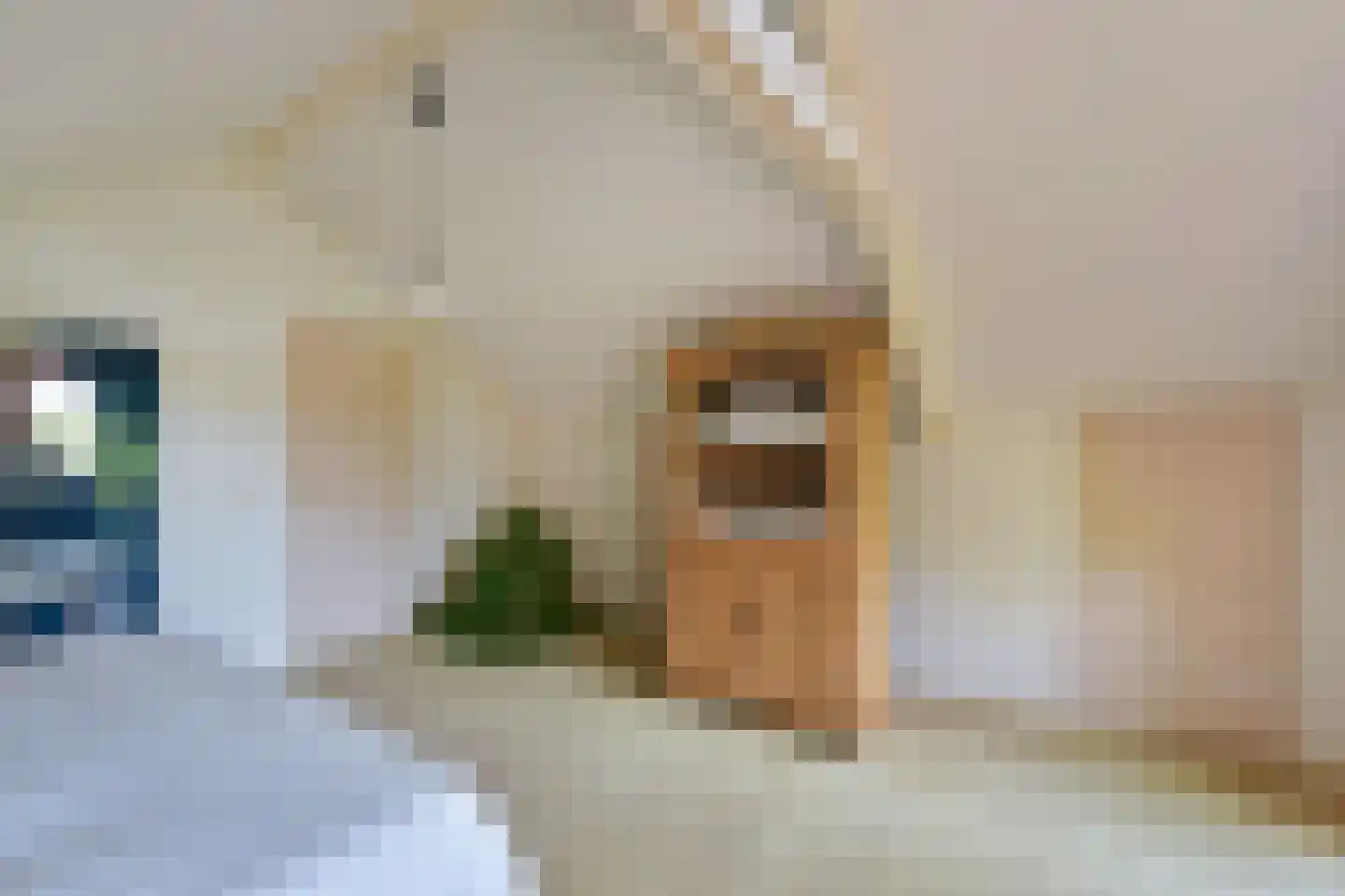 Dokter Mees ten Oeverlaan 13 Wilnis thumbnail 28