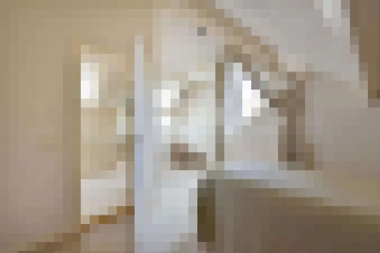 Dokter Mees ten Oeverlaan 13 Wilnis thumbnail 29
