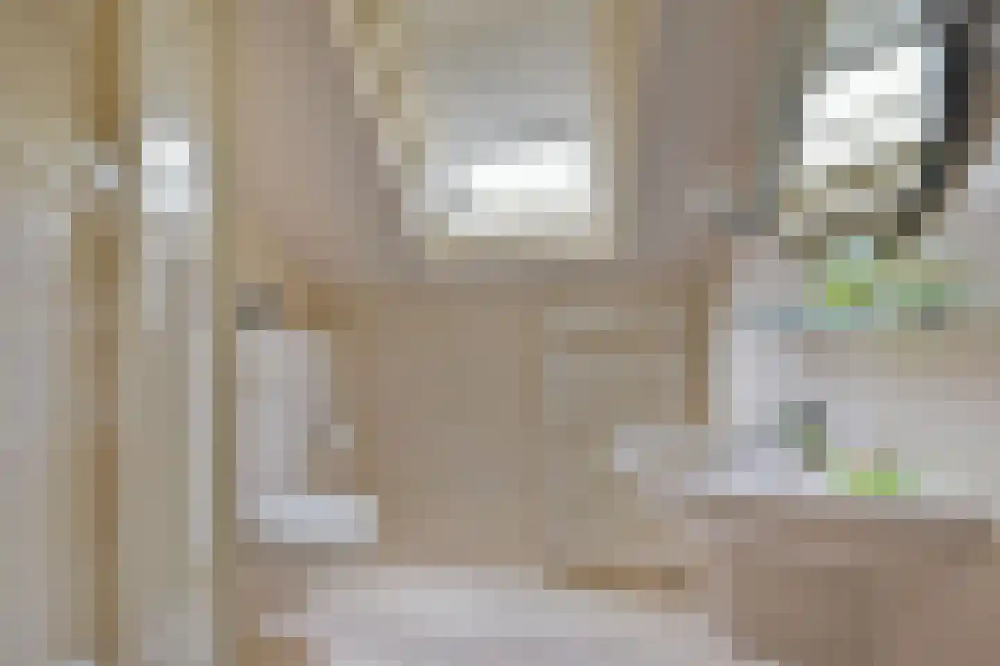 Dokter Mees ten Oeverlaan 13 Wilnis thumbnail 30