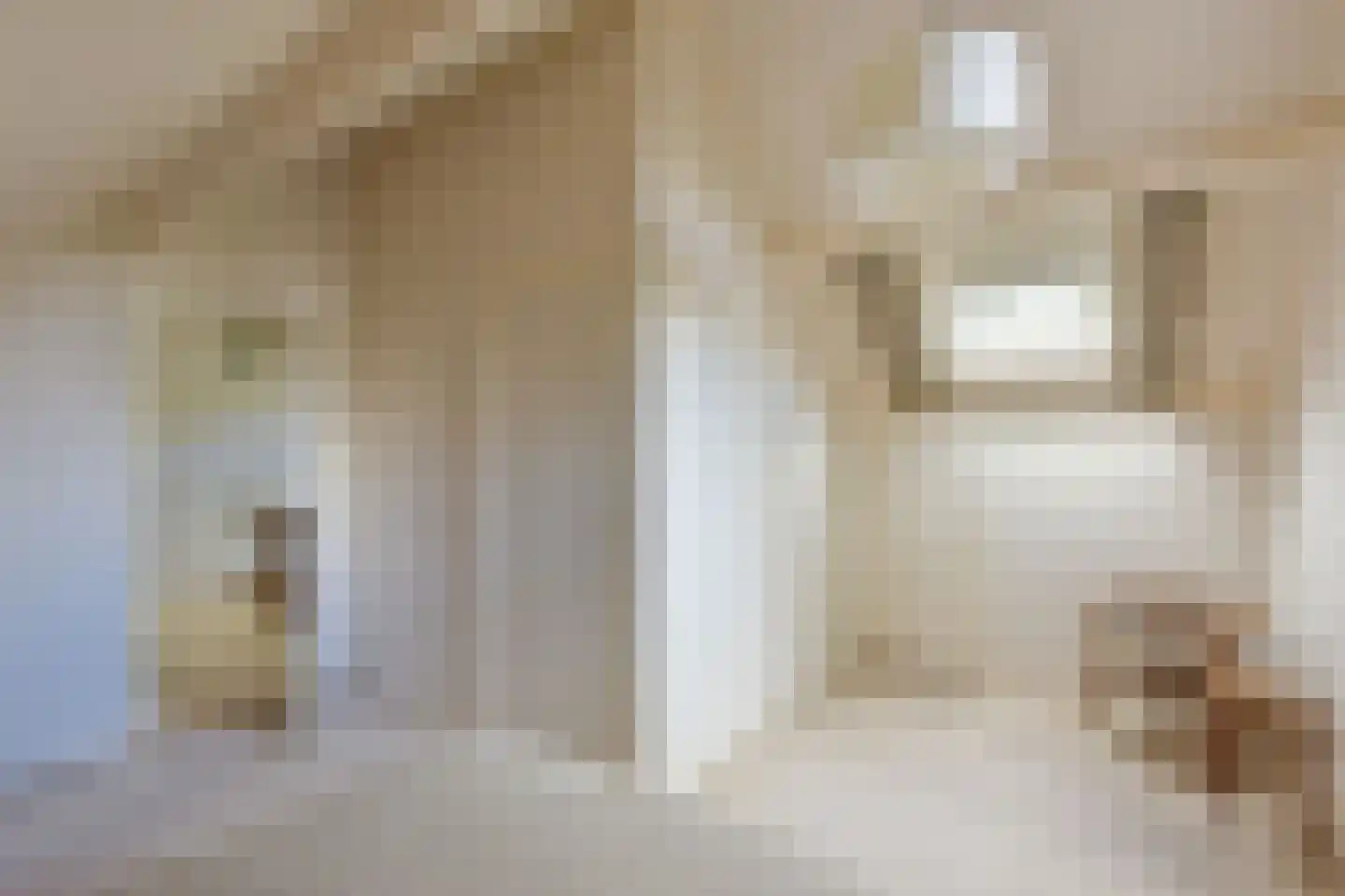 Dokter Mees ten Oeverlaan 13 Wilnis thumbnail 31