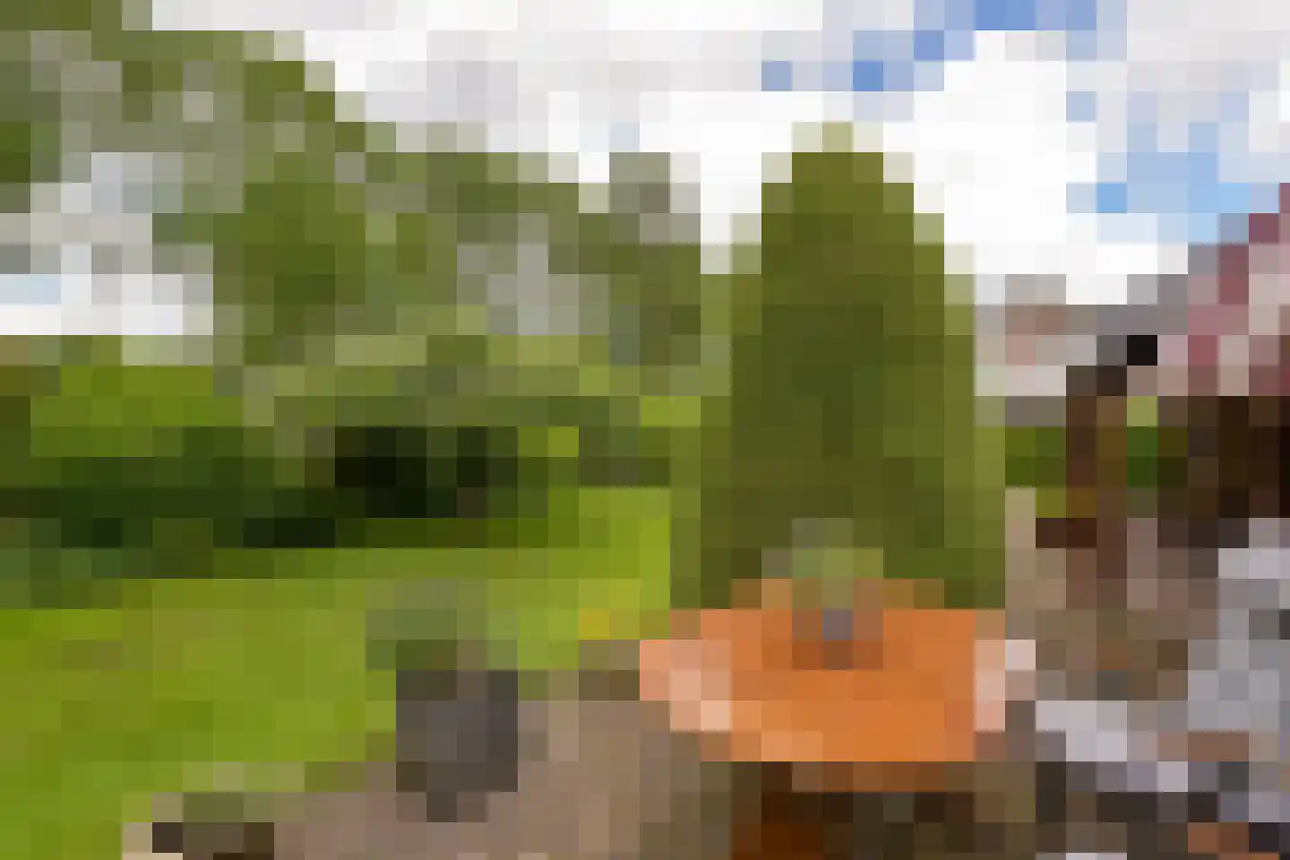 Dokter Mees ten Oeverlaan 13 Wilnis thumbnail 33