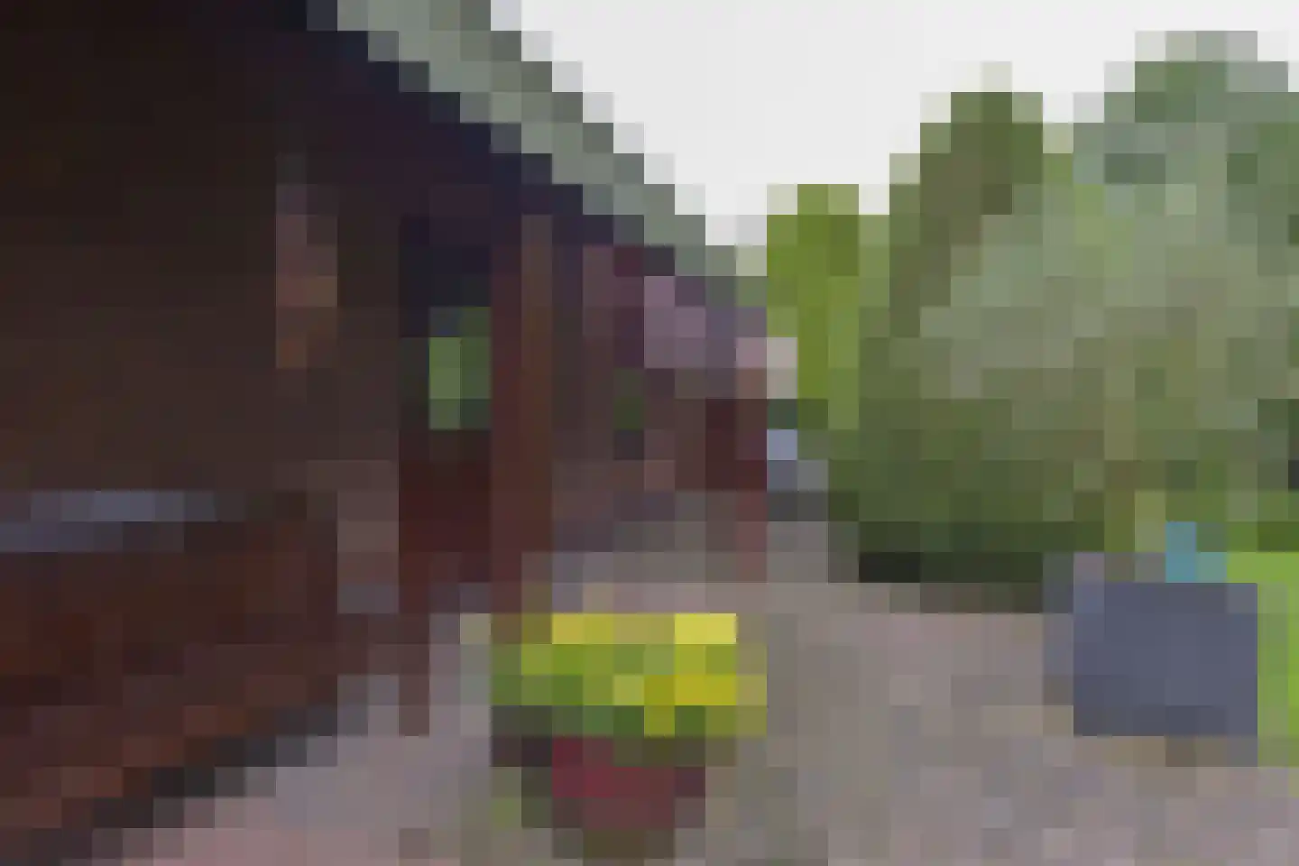 Dokter Mees ten Oeverlaan 13 Wilnis thumbnail 34