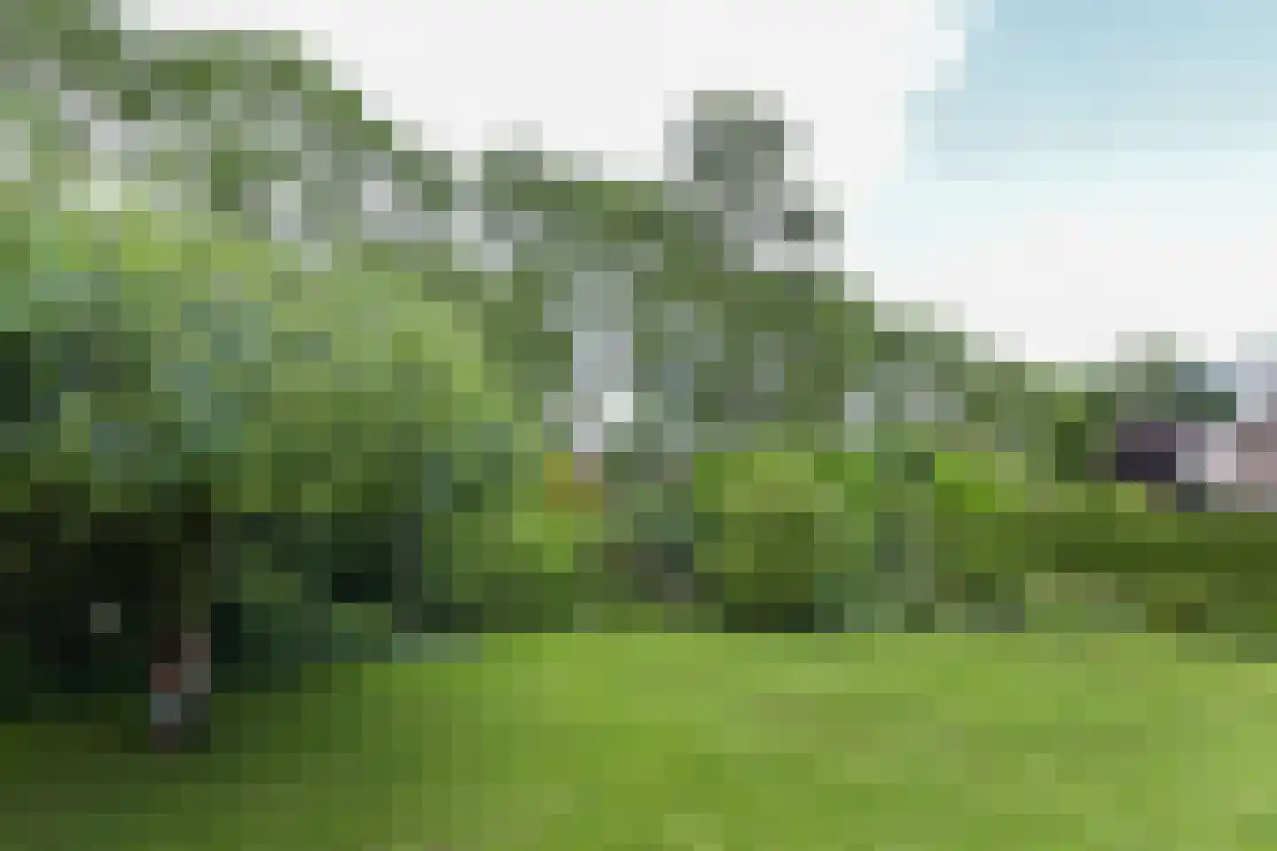 Dokter Mees ten Oeverlaan 13 Wilnis thumbnail 35