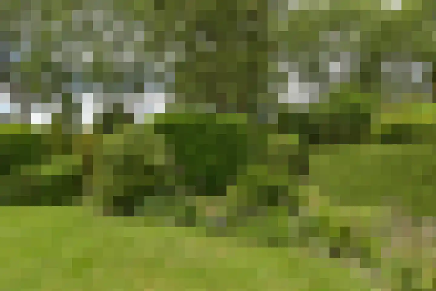 Dokter Mees ten Oeverlaan 13 Wilnis thumbnail 37