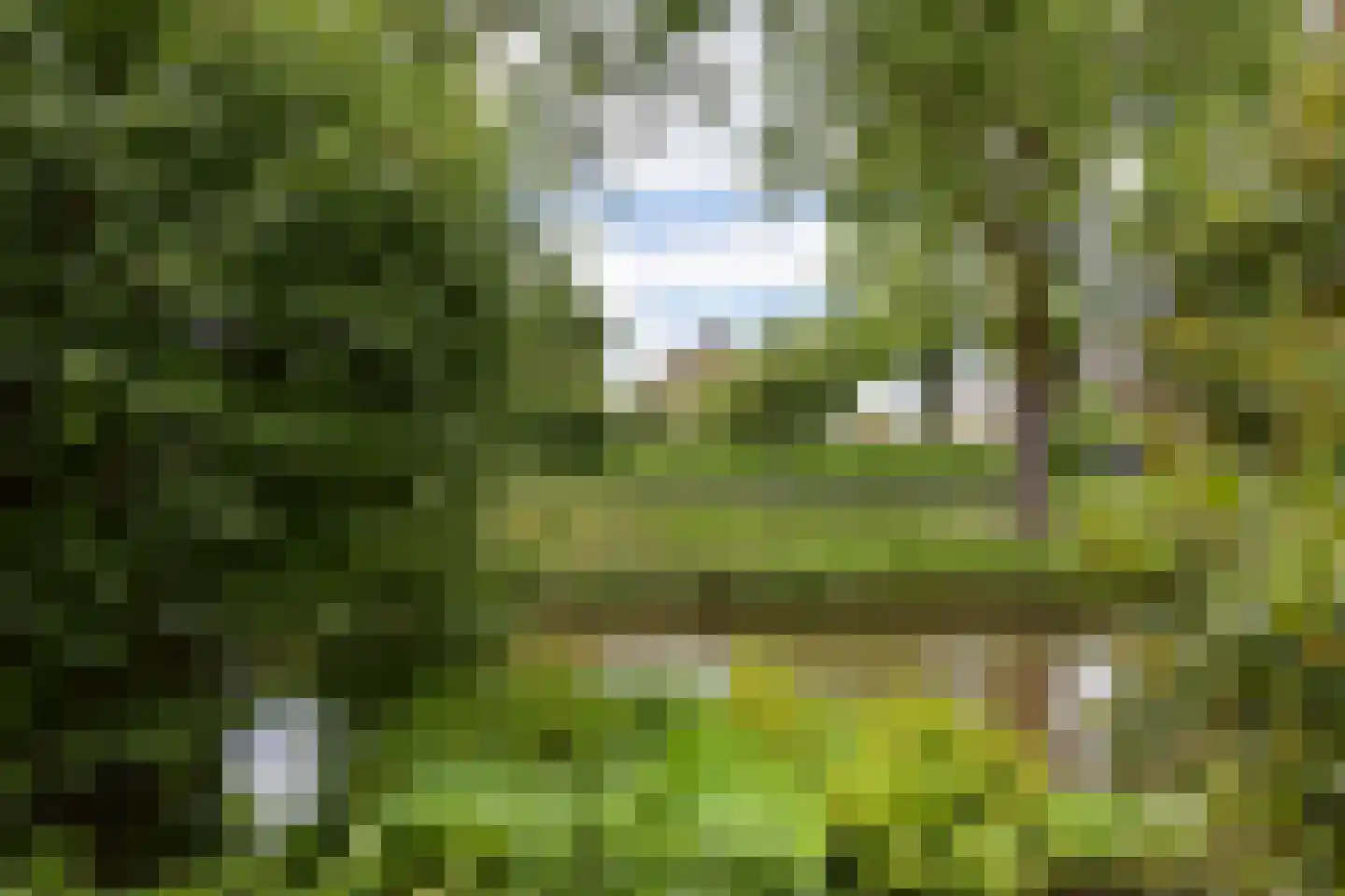 Dokter Mees ten Oeverlaan 13 Wilnis thumbnail 4