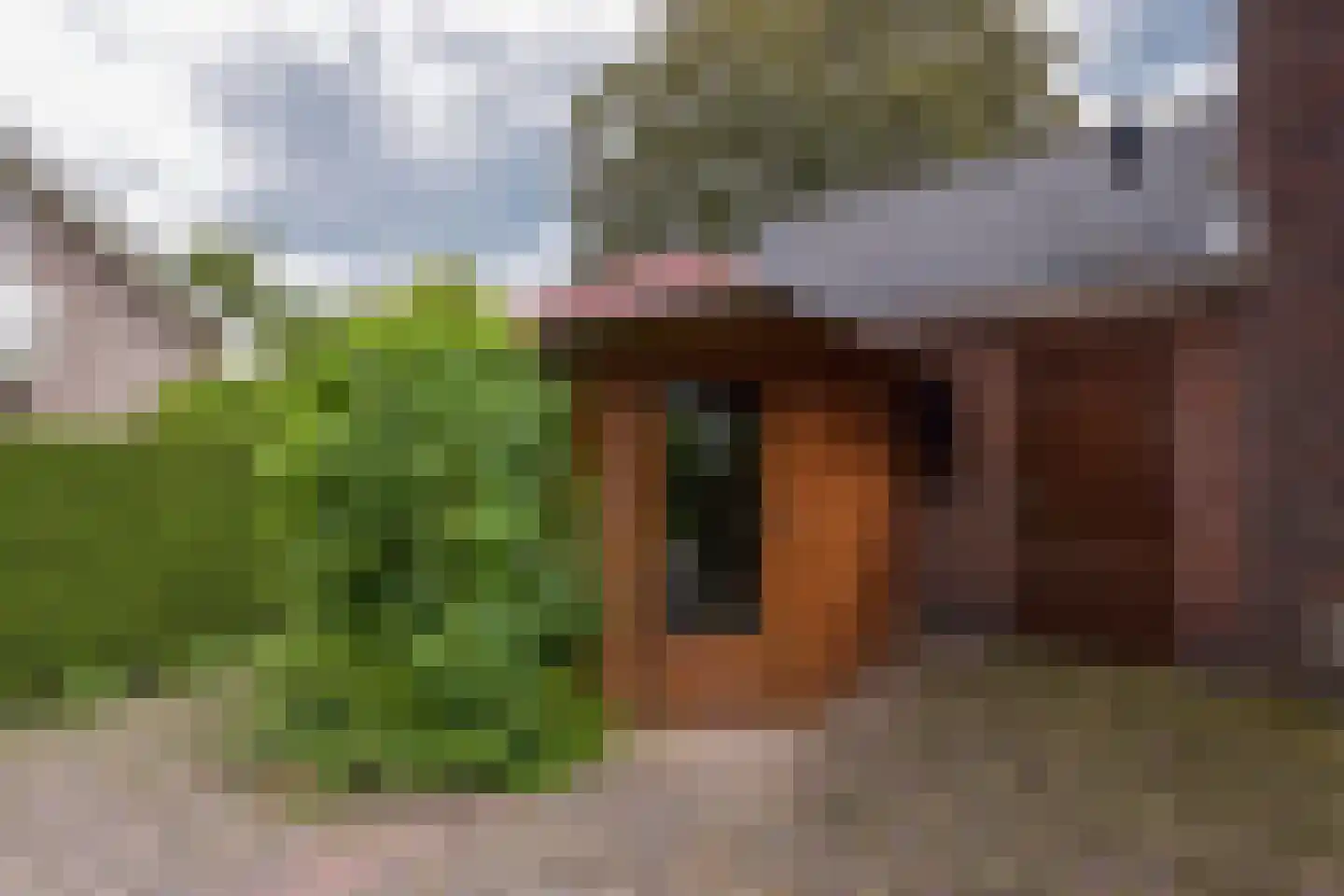 Dokter Mees ten Oeverlaan 13 Wilnis thumbnail 40