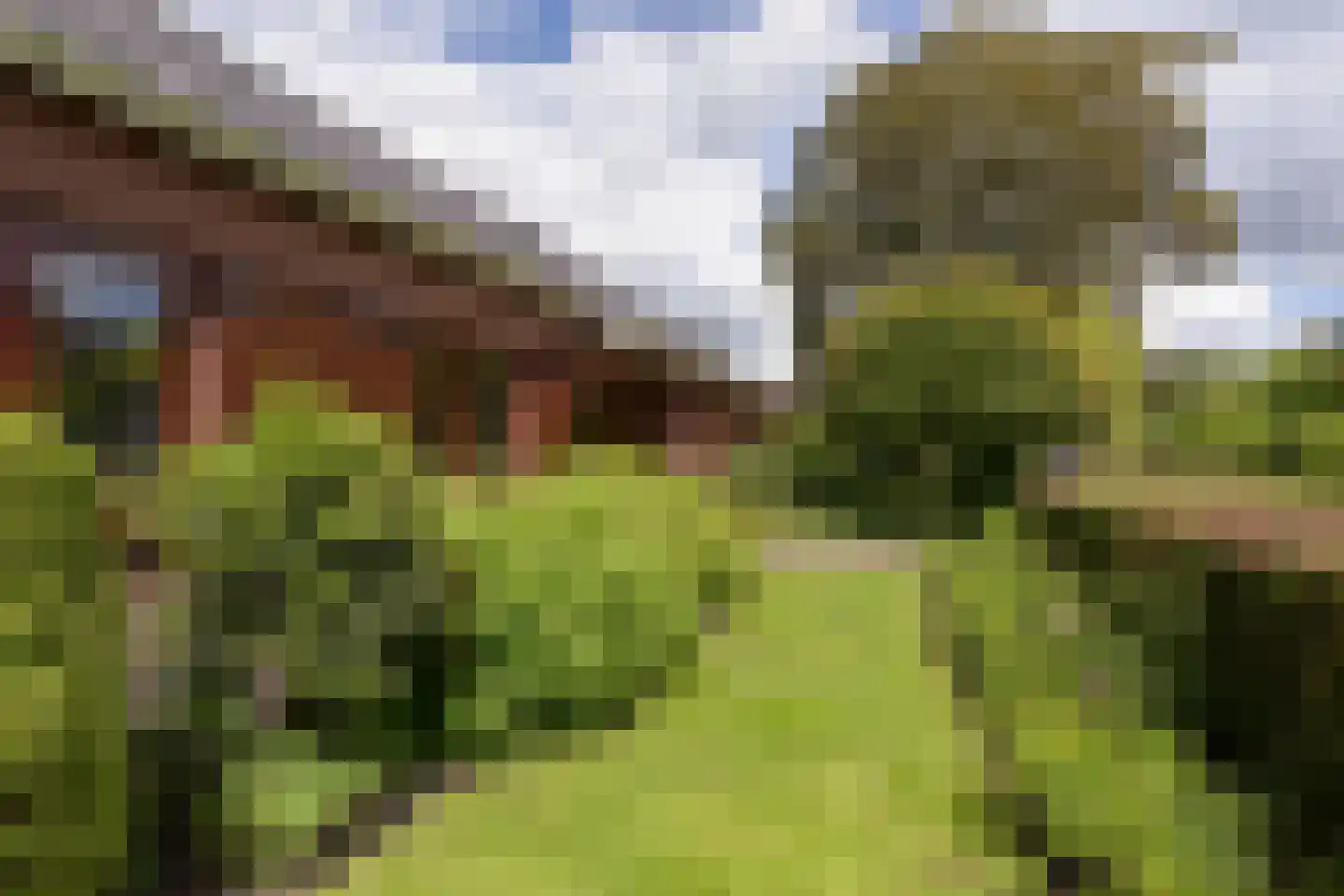 Dokter Mees ten Oeverlaan 13 Wilnis thumbnail 42