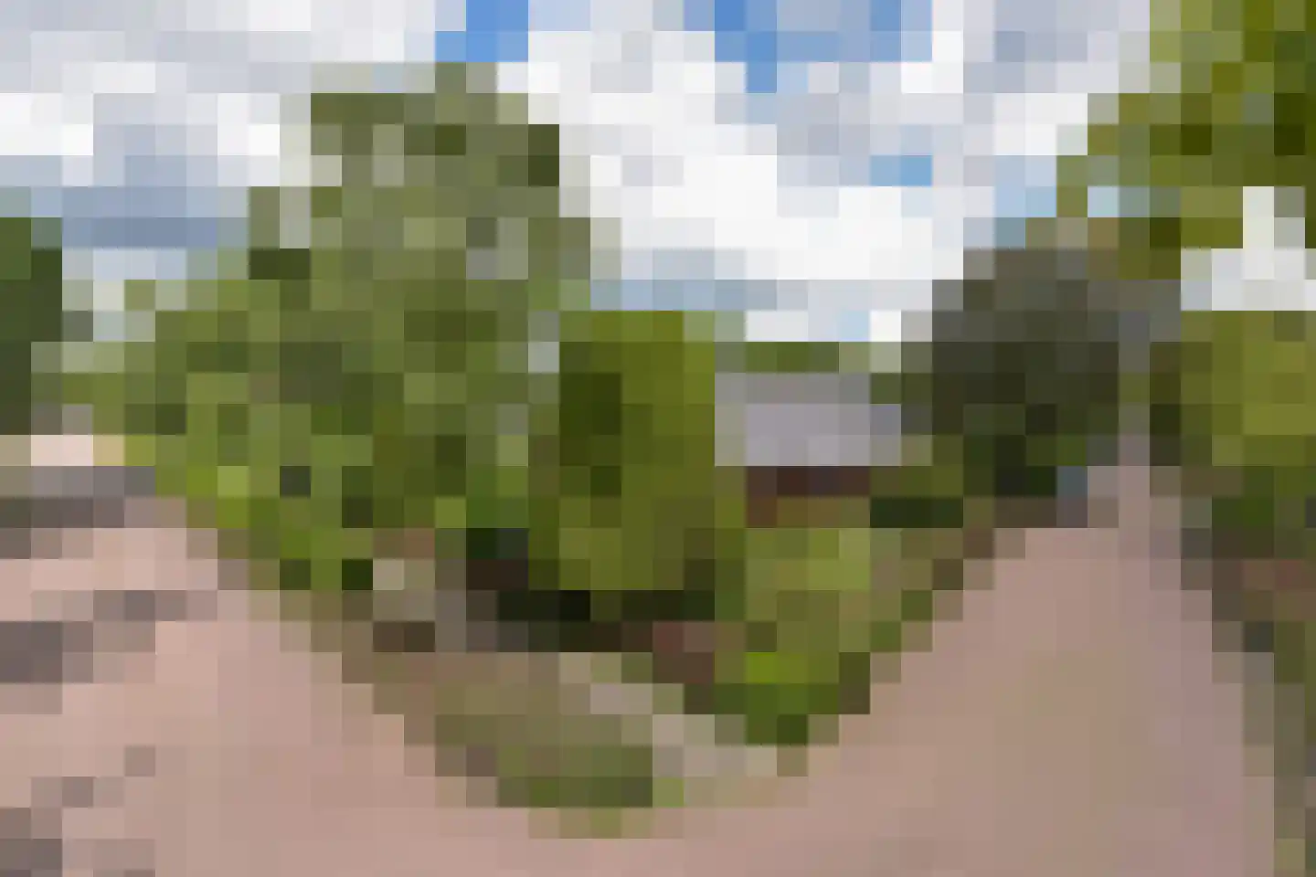 Dokter Mees ten Oeverlaan 13 Wilnis thumbnail 45