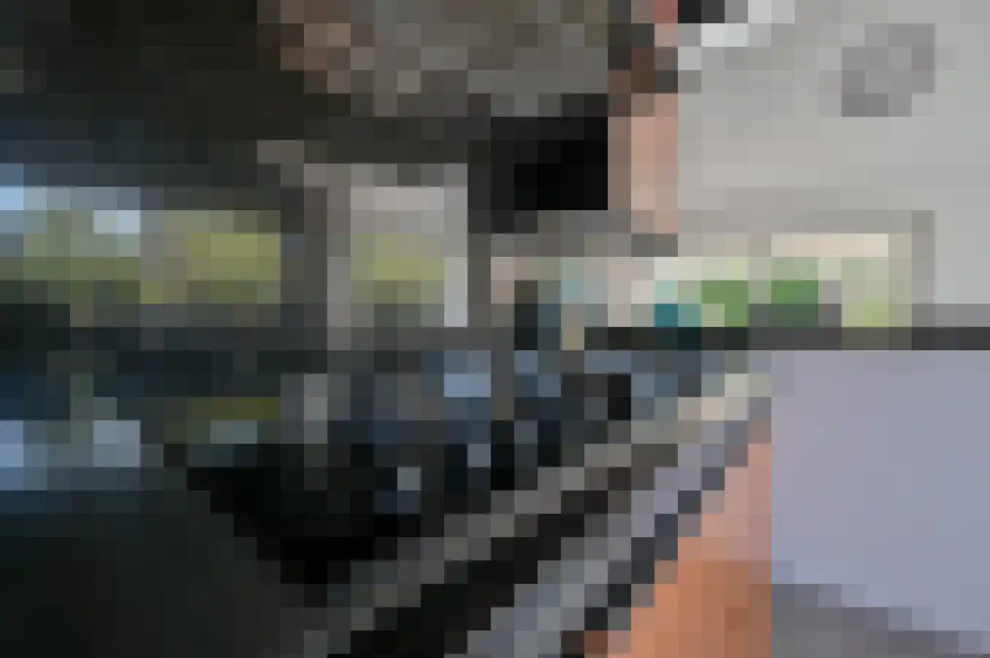 Dokter Mees ten Oeverlaan 28 Wilnis thumbnail 14