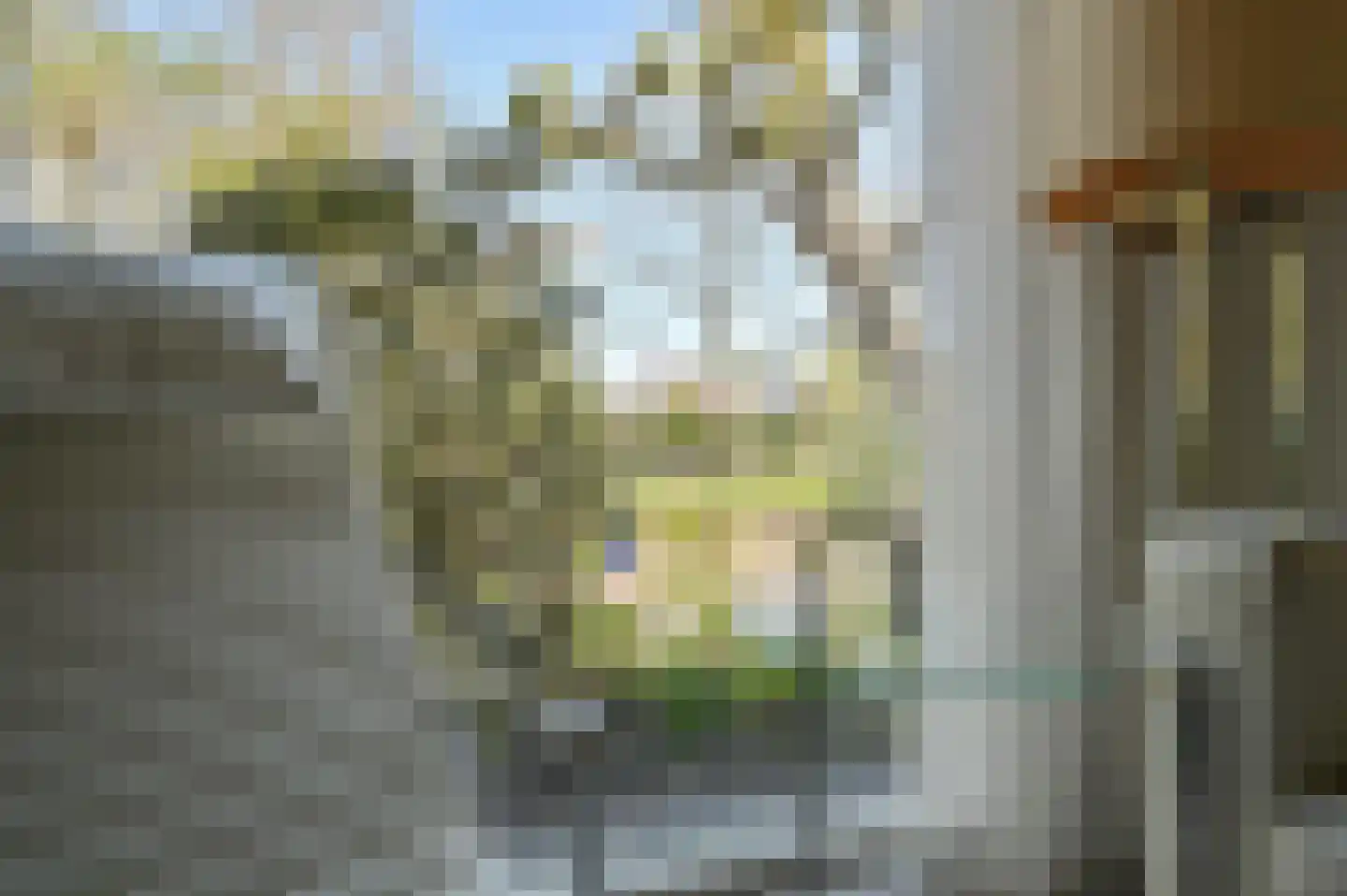 Dokter Mees ten Oeverlaan 28 Wilnis thumbnail 23