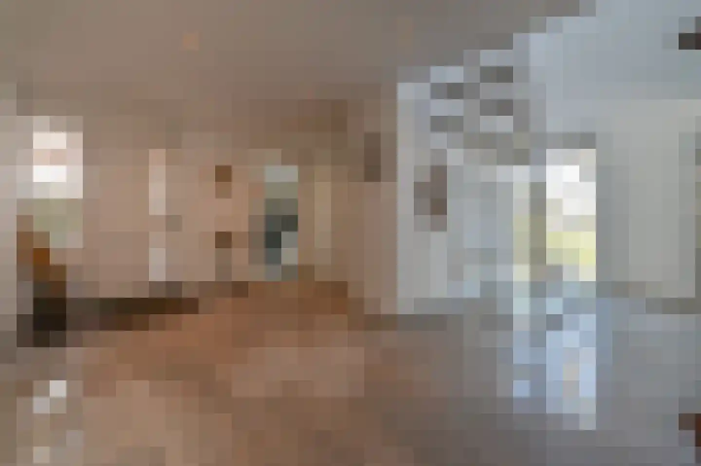 Dokter Mees ten Oeverlaan 28 Wilnis thumbnail 24