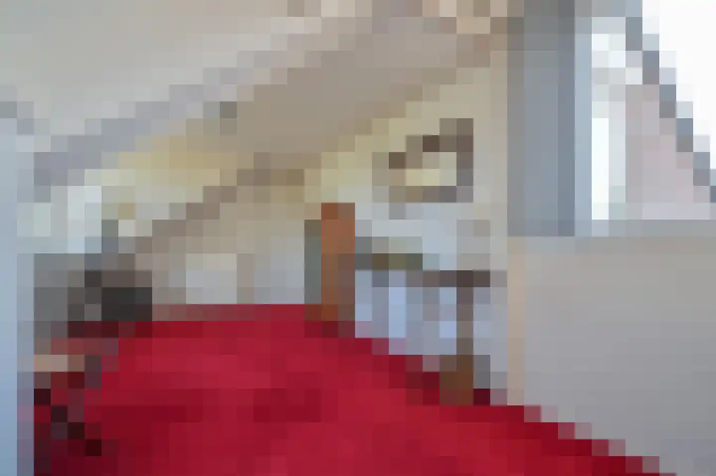 Dokter Mees ten Oeverlaan 28 Wilnis thumbnail 29