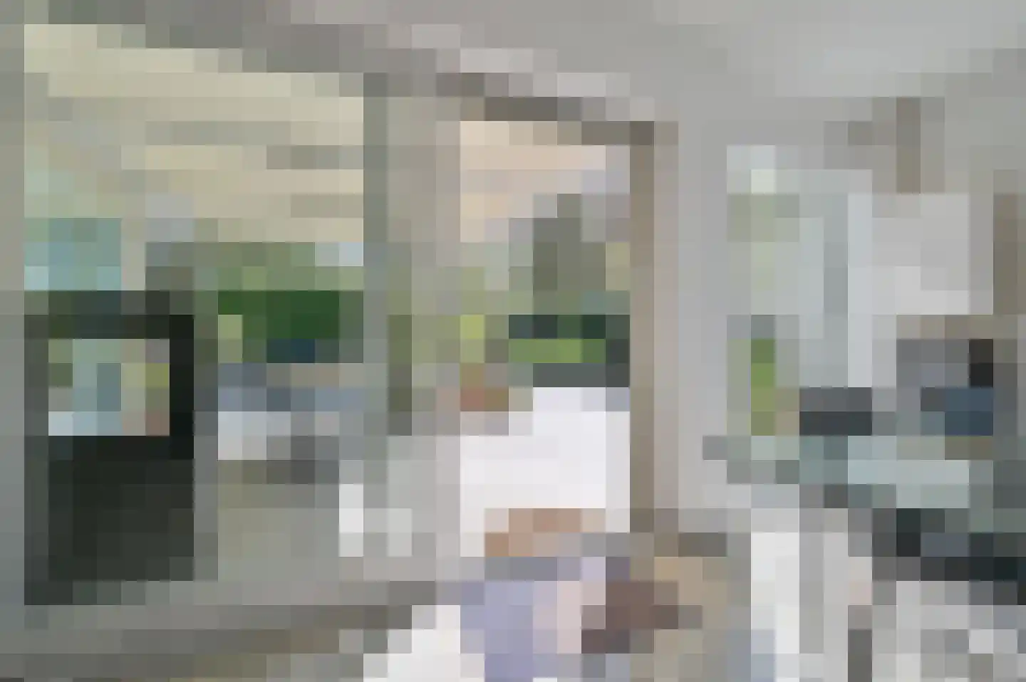 Dokter Mees ten Oeverlaan 28 Wilnis thumbnail 40