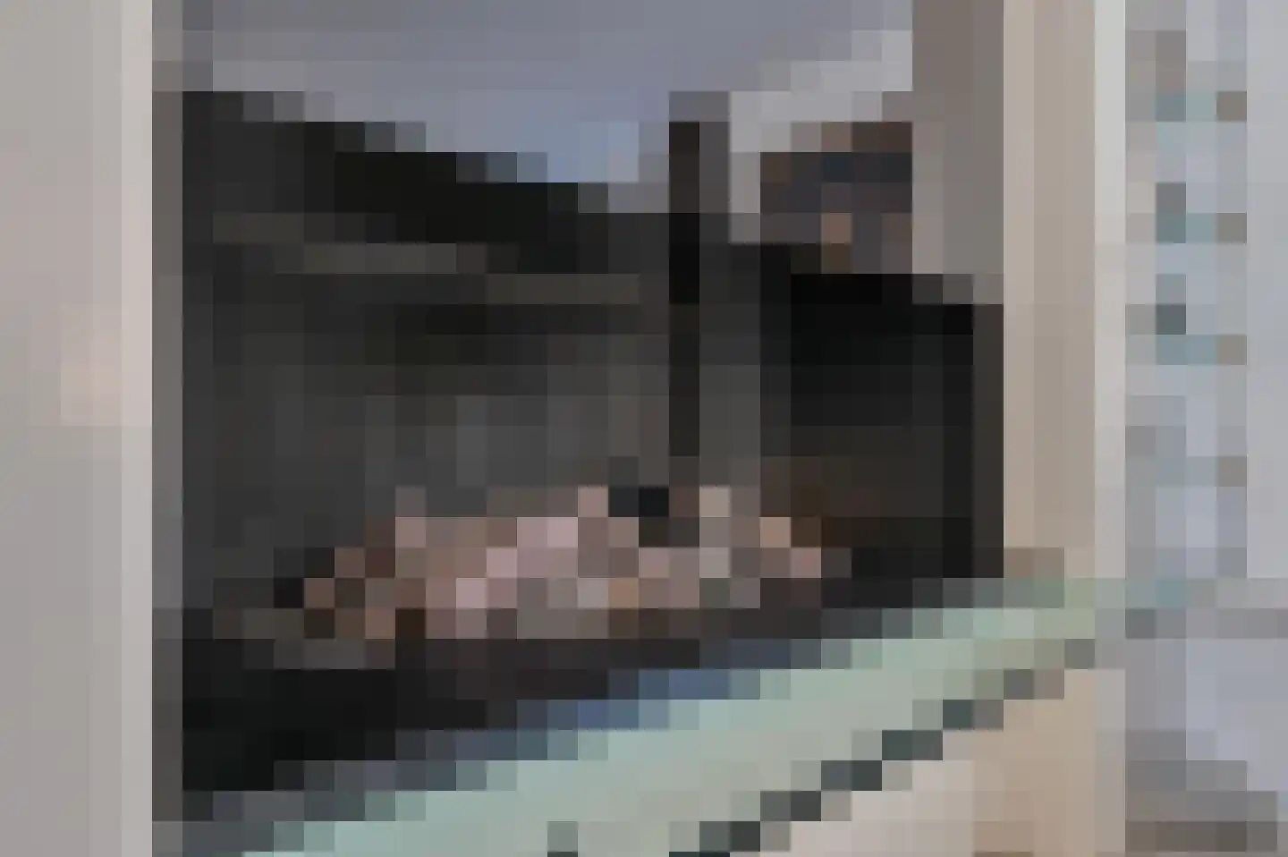 Dokter Mees ten Oeverlaan 28 Wilnis thumbnail 5