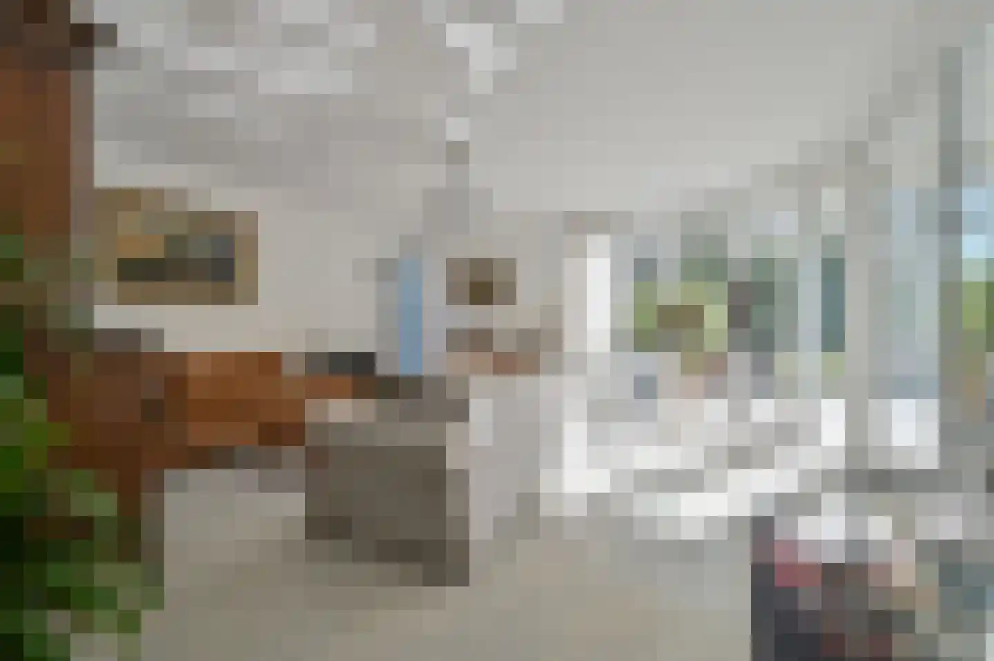 Dokter Mees ten Oeverlaan 28 Wilnis thumbnail 9