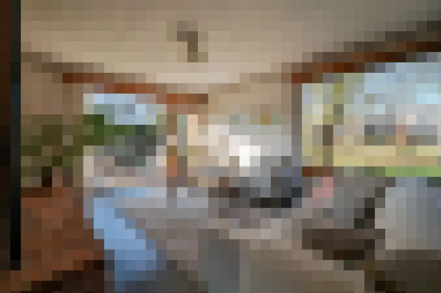 Dokter Mees ten Oeverlaan 7 Wilnis thumbnail 11