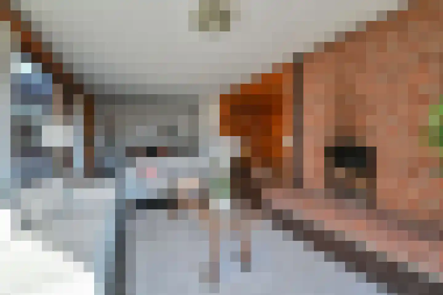 Dokter Mees ten Oeverlaan 7 Wilnis thumbnail 12