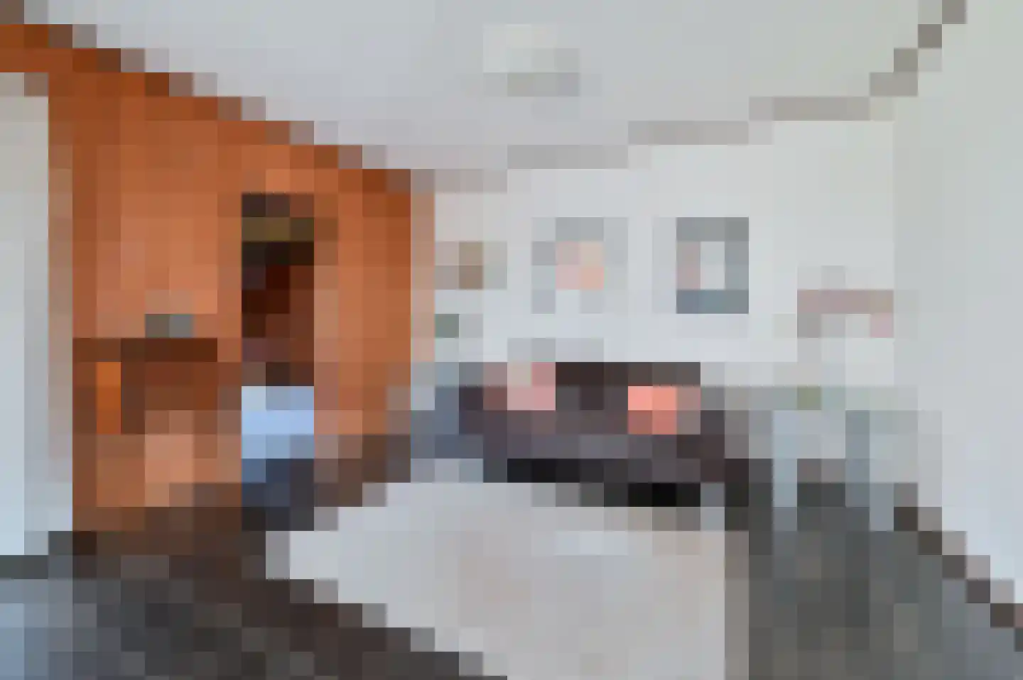 Dokter Mees ten Oeverlaan 7 Wilnis thumbnail 13