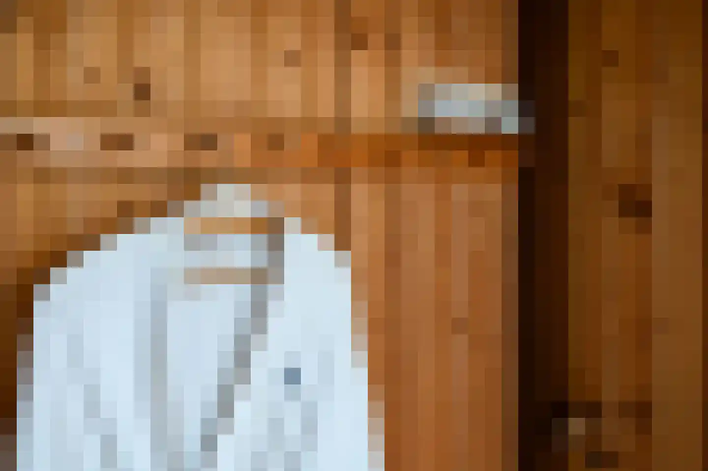Dokter Mees ten Oeverlaan 7 Wilnis thumbnail 16