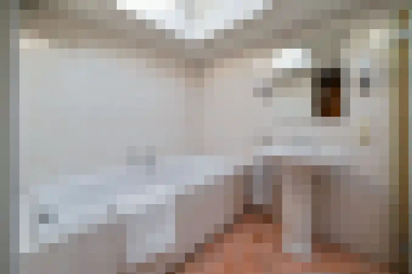 Dokter Mees ten Oeverlaan 7 Wilnis thumbnail 19