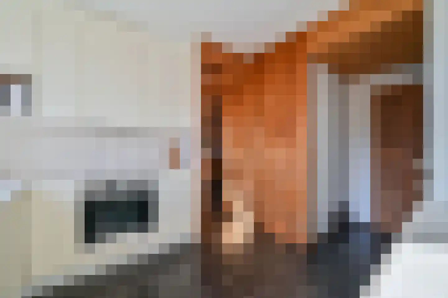 Dokter Mees ten Oeverlaan 7 Wilnis thumbnail 24
