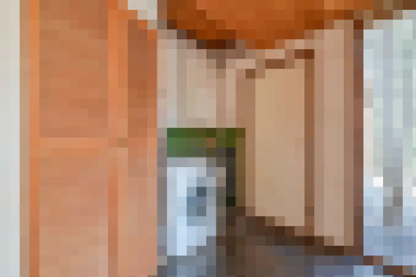 Dokter Mees ten Oeverlaan 7 Wilnis thumbnail 25
