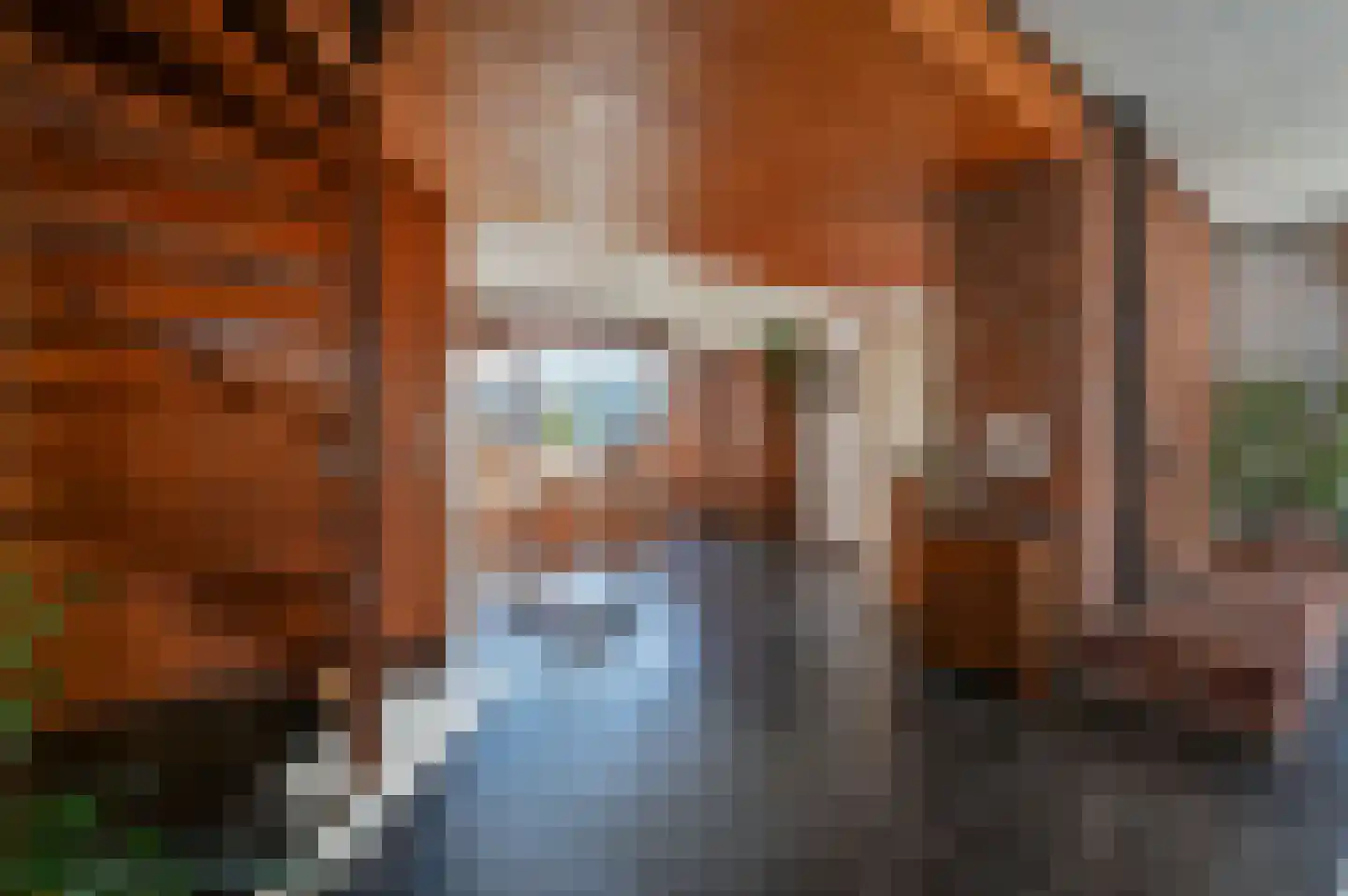Dokter Mees ten Oeverlaan 7 Wilnis thumbnail 26