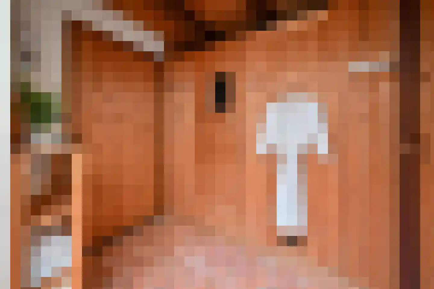 Dokter Mees ten Oeverlaan 7 Wilnis foto 3