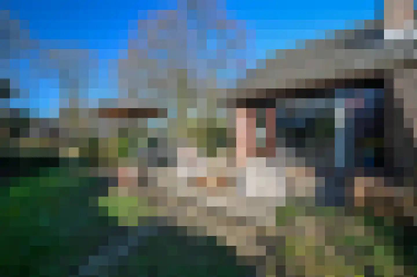 Dokter Mees ten Oeverlaan 7 Wilnis thumbnail 39