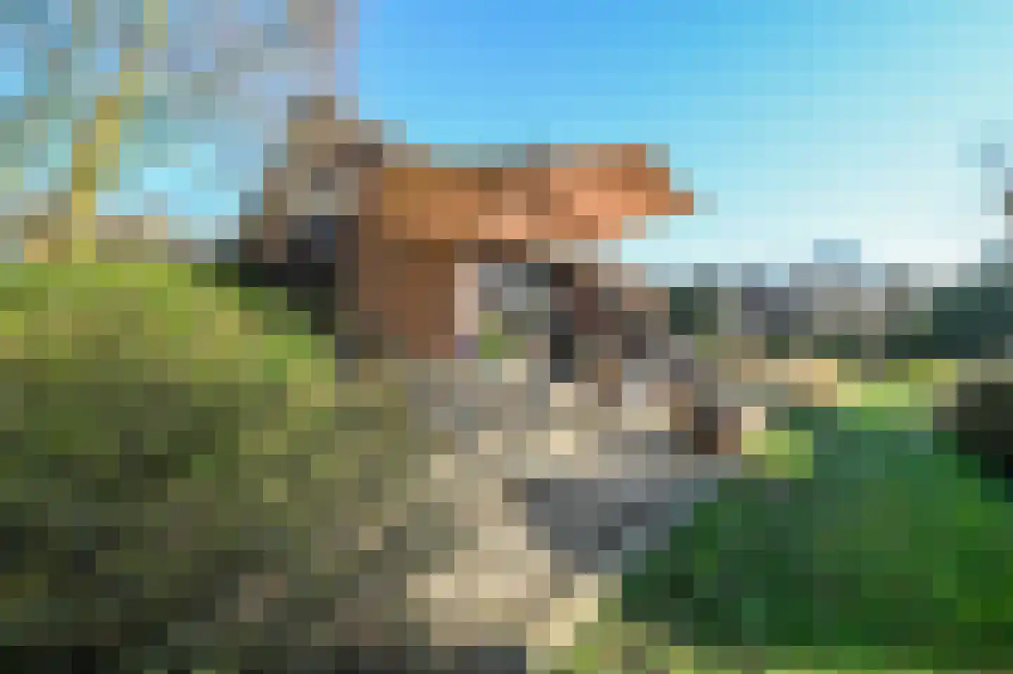 Dokter Mees ten Oeverlaan 7 Wilnis thumbnail 41