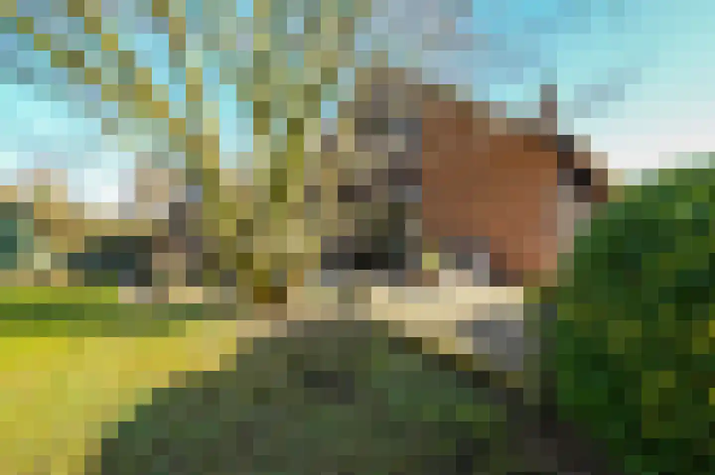 Dokter Mees ten Oeverlaan 7 Wilnis thumbnail 43