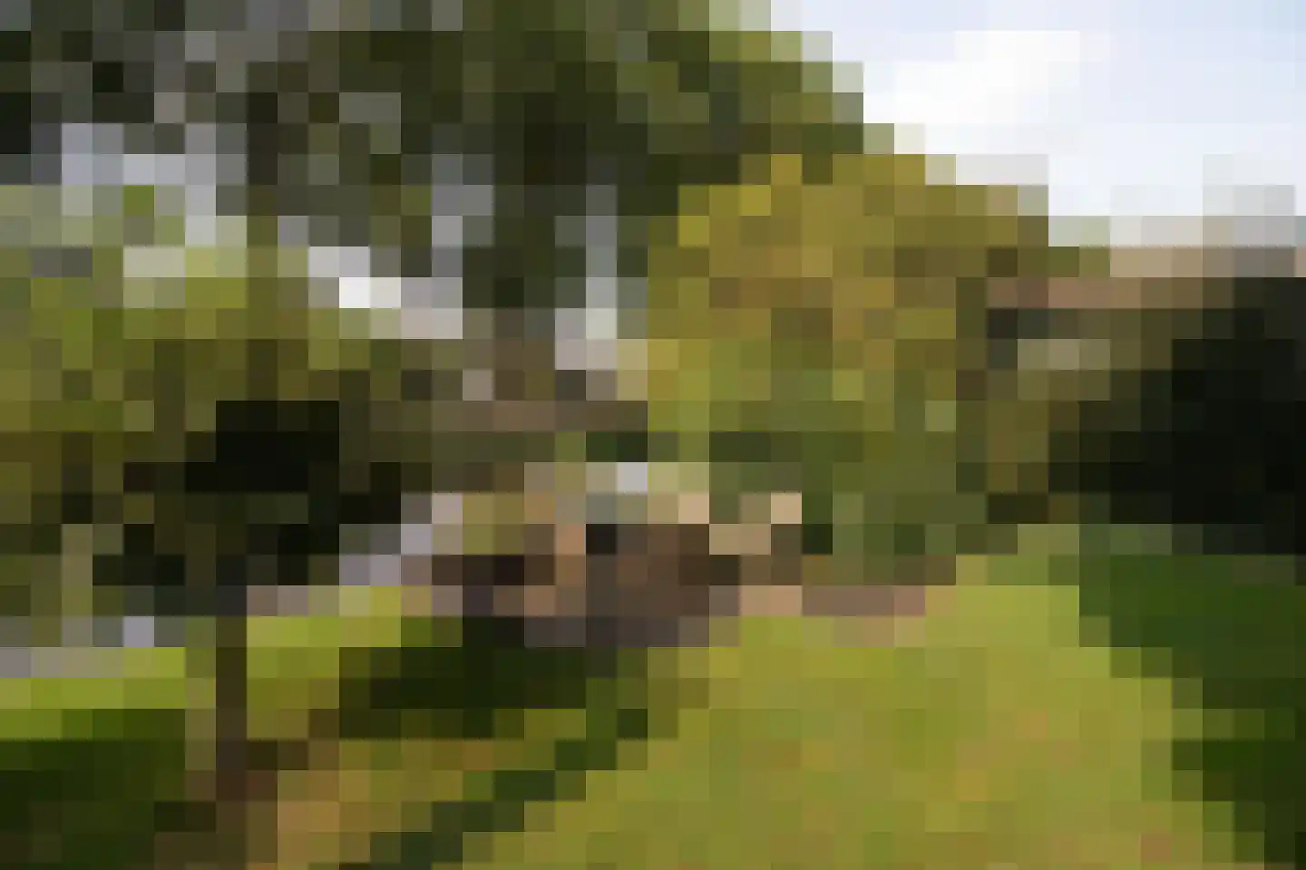 Dokter Mees ten Oeverlaan 7 Wilnis thumbnail 47